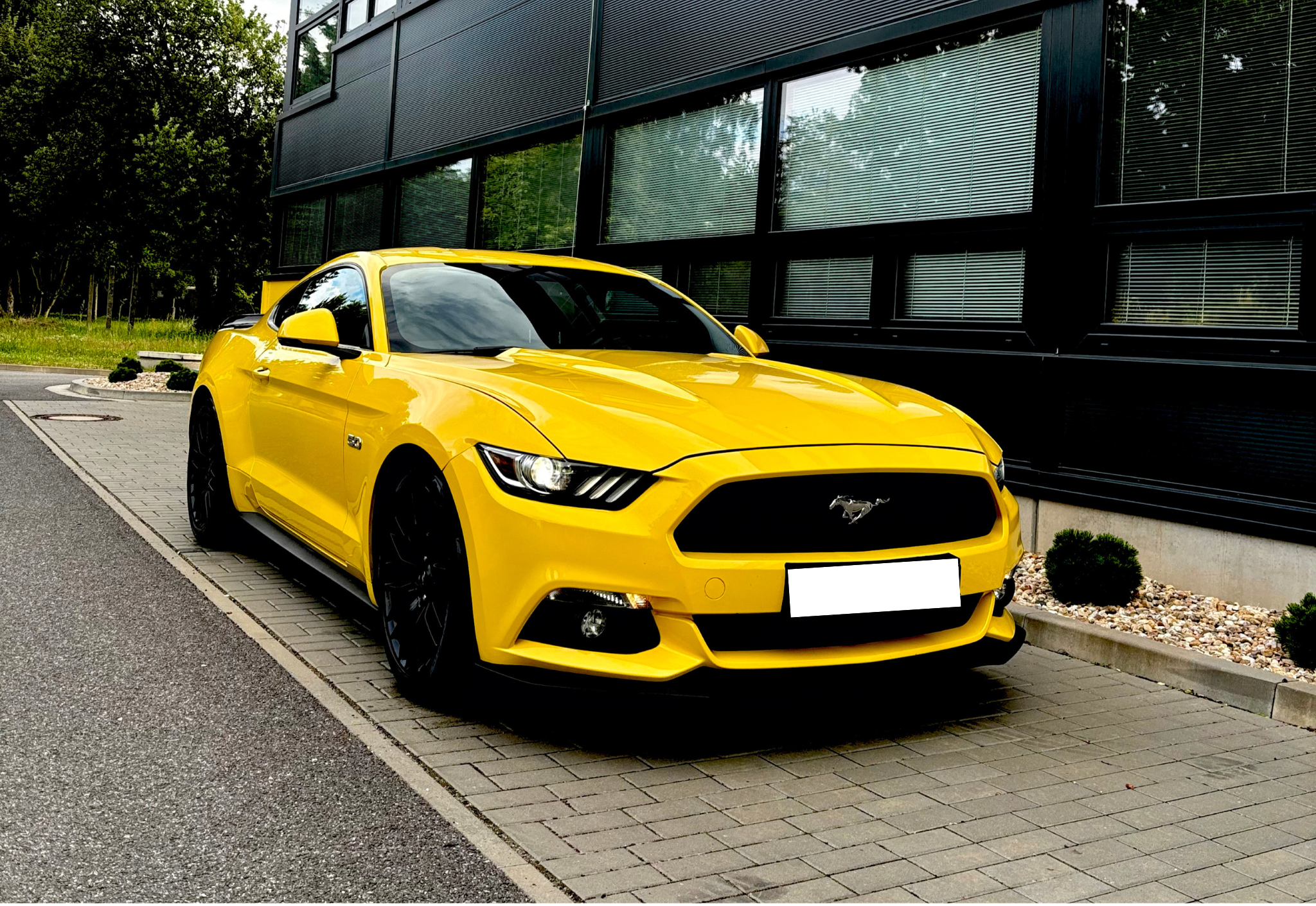 FORD MUSTANG 